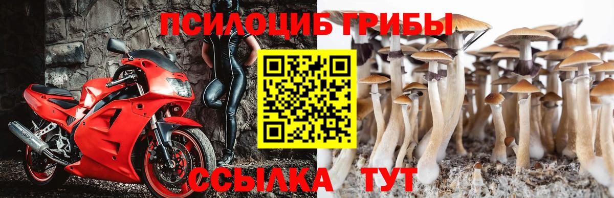 Элиста  Галлюциногенные грибы GOLDEN TEACHER  Вход с VPN 
