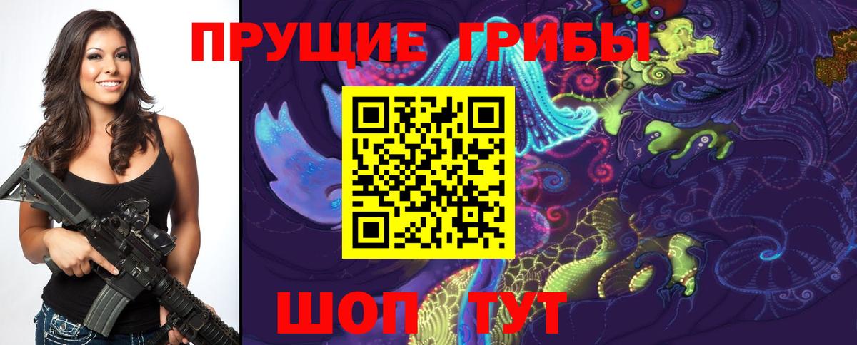 Псилоцибиновые грибы прущие грибы Элиста